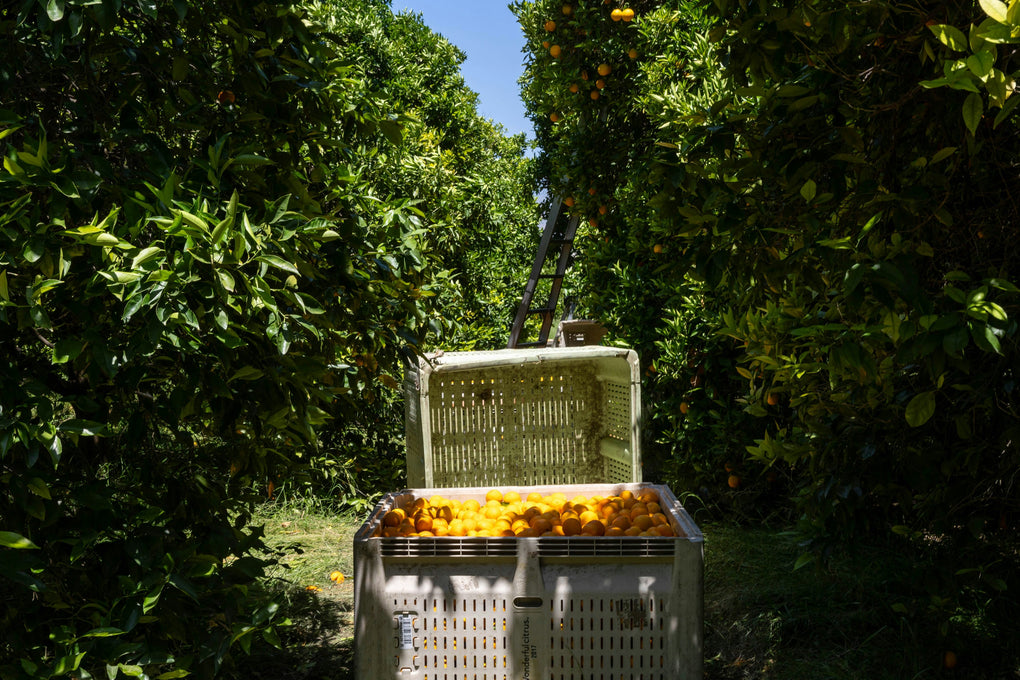 Our ingredients are simple, but making our product is anything but.