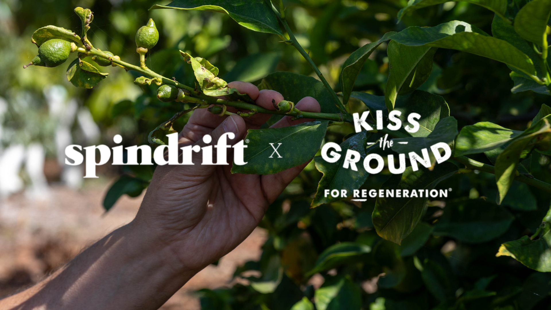 Giving back to the soil, our partnership with Kiss the Ground